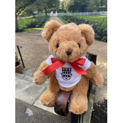 School Eco Bear