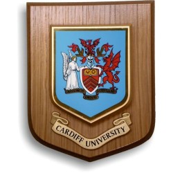 University Plaque