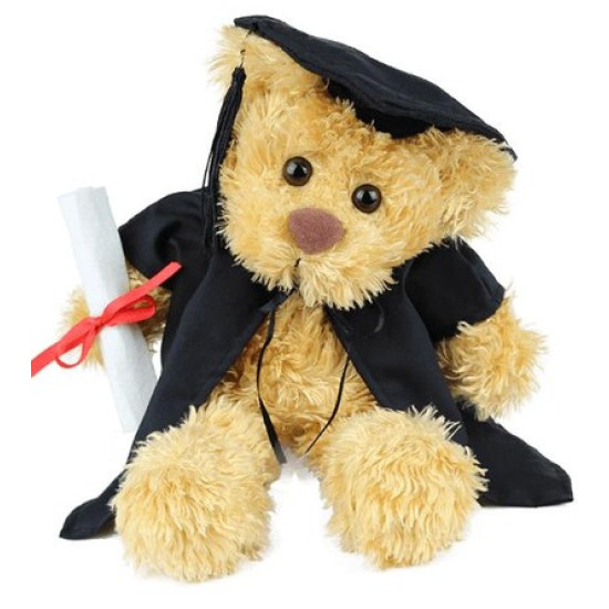 Rocky Graduation Bear