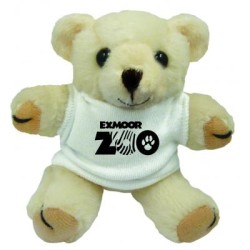 5'' Honey Bear with White T Shirt