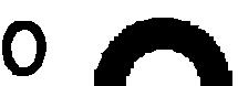 vector image